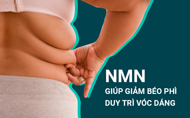 NMN giúp giảm béo phì, duy trì vóc dáng, hạn chế tiểu đường