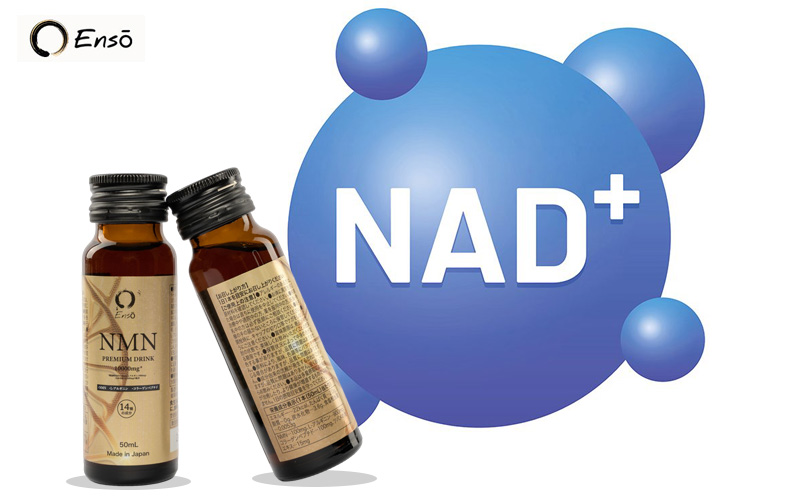 NMN Enso tăng NAD+ hiệu quả