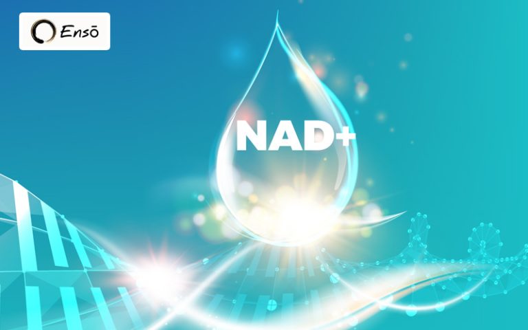 Phân tử NAD+ cung cấp năng lượng sống cho tế bào