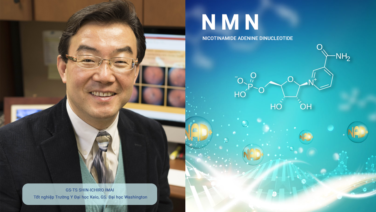 GS.TS Shinchiro IMai là người đầu tiên phát hiện và nghiên cứu về NMN