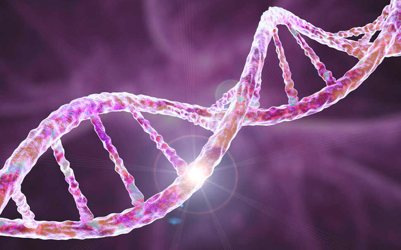 Các DNA bị lỗi hoặc tổn thương có thể làm tế bào chết sớm hoặc rối loạn chức năng