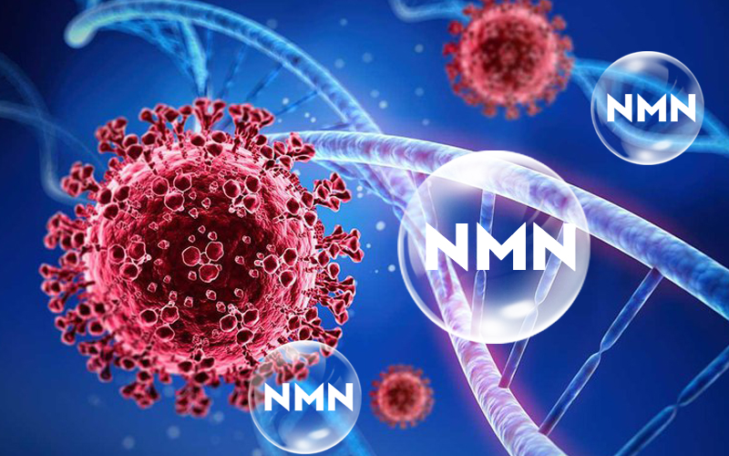 NMN được chứng minh có khả năng hỗ trợ rút ngắn thời gian phục hồi các triệu chứng hậu Covid-19
