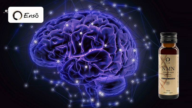 NMN hỗ trợ tăng cường sức khỏe não bộ và trí nhớ