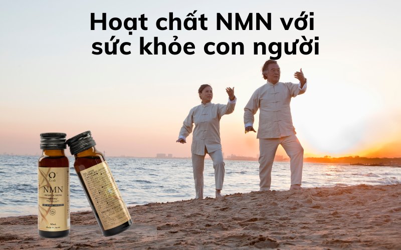 NMN được ví như hoạt chất vàng với sức khỏe con người